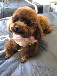 -JERRY日式美甲美睫纹绣工坊