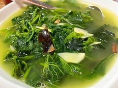 -东鸽皇(奥园·中环广场店)