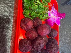 -蒙鞑叔炭烤羊腿(定福庄店)