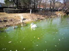 -无锡动物园·太湖欢乐园