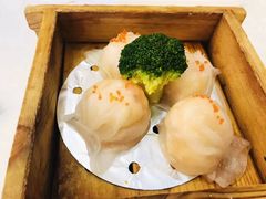 -龙悦湾酒家·八阵鱼生·渔人码头店