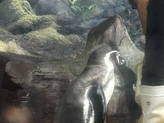 -福州罗源湾海洋世界旅游区