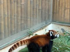 -石家庄市动物园