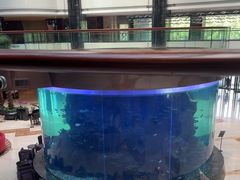 -OPEN開全日自助餐厅·牛肉火锅·海鲜(佛山希尔顿酒店)