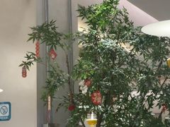 -Aqua Oasis 水天堂(太湖中心mall店)