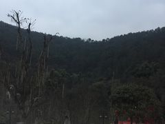 -楠柏弯休闲山庄(梨花溪店)