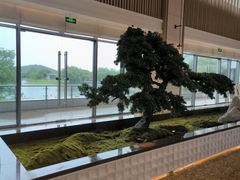 -上海佘山茂御臻品之选酒店(原佘山艾美酒店)