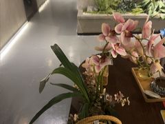 -施奈儿.洗头頭療.按摩SPA.采耳(上梅林店)