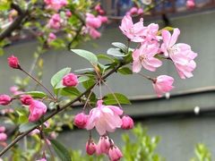 -徐家汇源景区-衡山公园