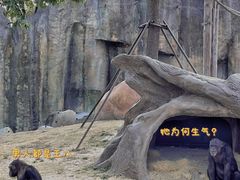 -上海野生动物园