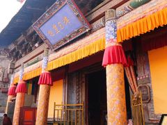 -塔尔寺菩提树