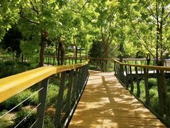 -东郊湿地公园