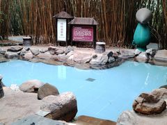 -森波拉火山温泉