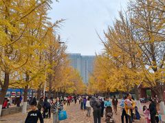 -辽宁大学(崇山校区)