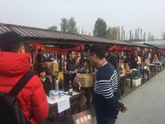 -秀丽东方