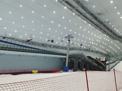 -哈尔滨热雪奇迹