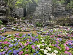 -梭布垭石林景区