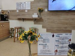 -韩国淼美颜皮肤管理官方直营店