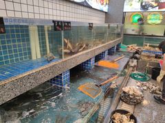 水产区-飞尝蚝·顺德菜·鱼生(顺德总店)