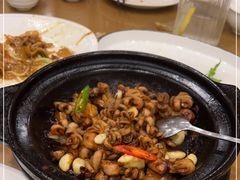-永記粤菜·五指毛桃花雕鸡煲(九亭店)