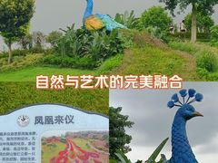 -东莞植物园