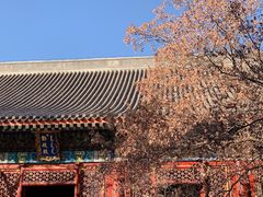 -香山公园