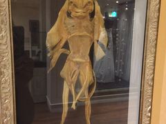 -信不信由你博物馆