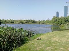 -艾溪湖湿地公园