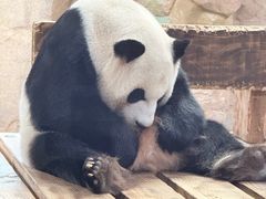 -无锡动物园·太湖欢乐园