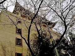 -武汉大学-樱园