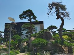 -罗红摄影艺术馆