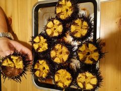 -海胆小馆(东北水饺·春柳店)