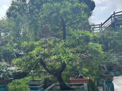 -东莞市可园博物馆