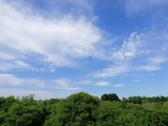 -朝阳公园游乐园