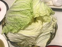 大白菜-08涮肉坊(广顺南大街店)