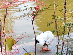 -长乐公园游乐场