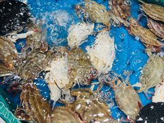 -初色海鲜自助(万丰路店)