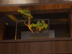 -江南足纪·影院足道·轻奢SPA(笋岗HALO广场店)
