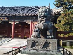 -颐和园