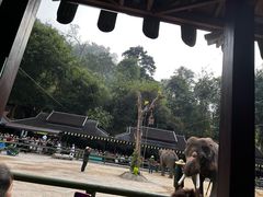 -野象谷景区