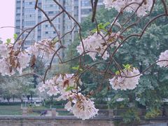 -红星桥(地铁站)