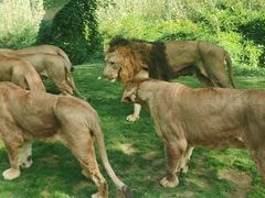 -北京野生动物园