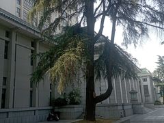 -武汉大学图书馆·文理学部总馆