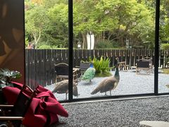 -J Create城市露营咖啡·简餐·宠物(上海动物园店)