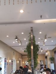 点击看大图 -卡尔诗·科技美肤连锁