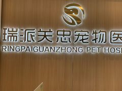 -瑞派·关忠动物医院·猫专科·犬专科(三环新城店)