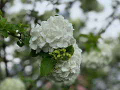 -大龙山(地铁站)