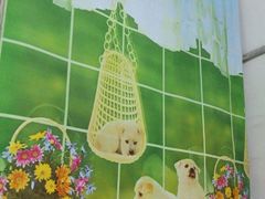 -宋柏树北京果木烤鸭(安东卫店)