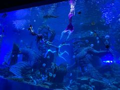 -哈尔滨波塞冬海底世界