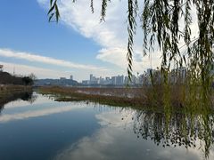 -月湖风景区